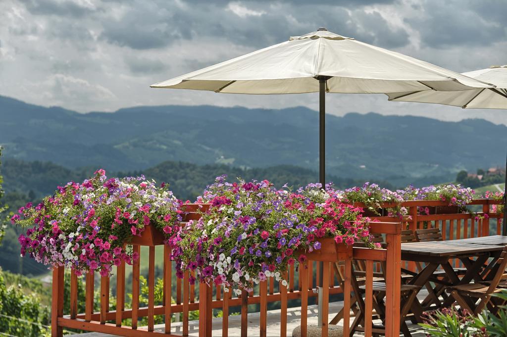 Farm Stay Jarc Vineyard Svecina Ngoại thất bức ảnh