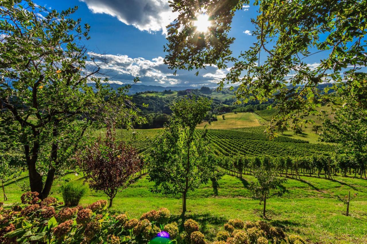 Farm Stay Jarc Vineyard Svecina Ngoại thất bức ảnh